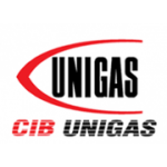 Газовые, дизельные, комбинированные горелки CIB UNIGAS